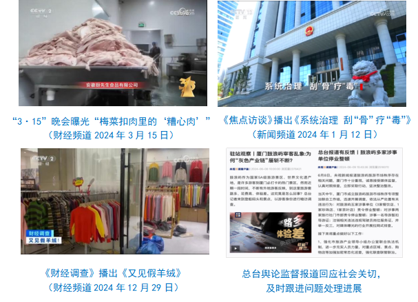 社会责任报告（2024年度）冰球突破网站中央广播电视总台(图7)